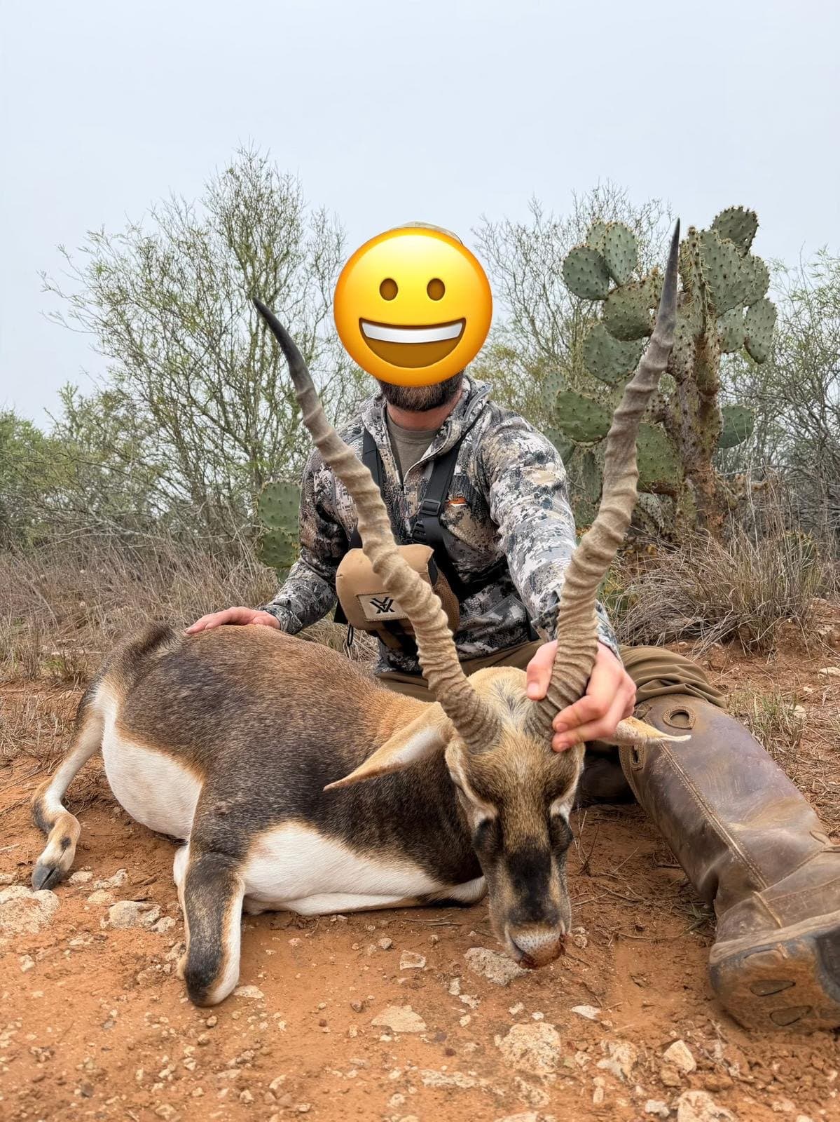 Hunter seated behind a harvested blackbuck in South Texas brush country
