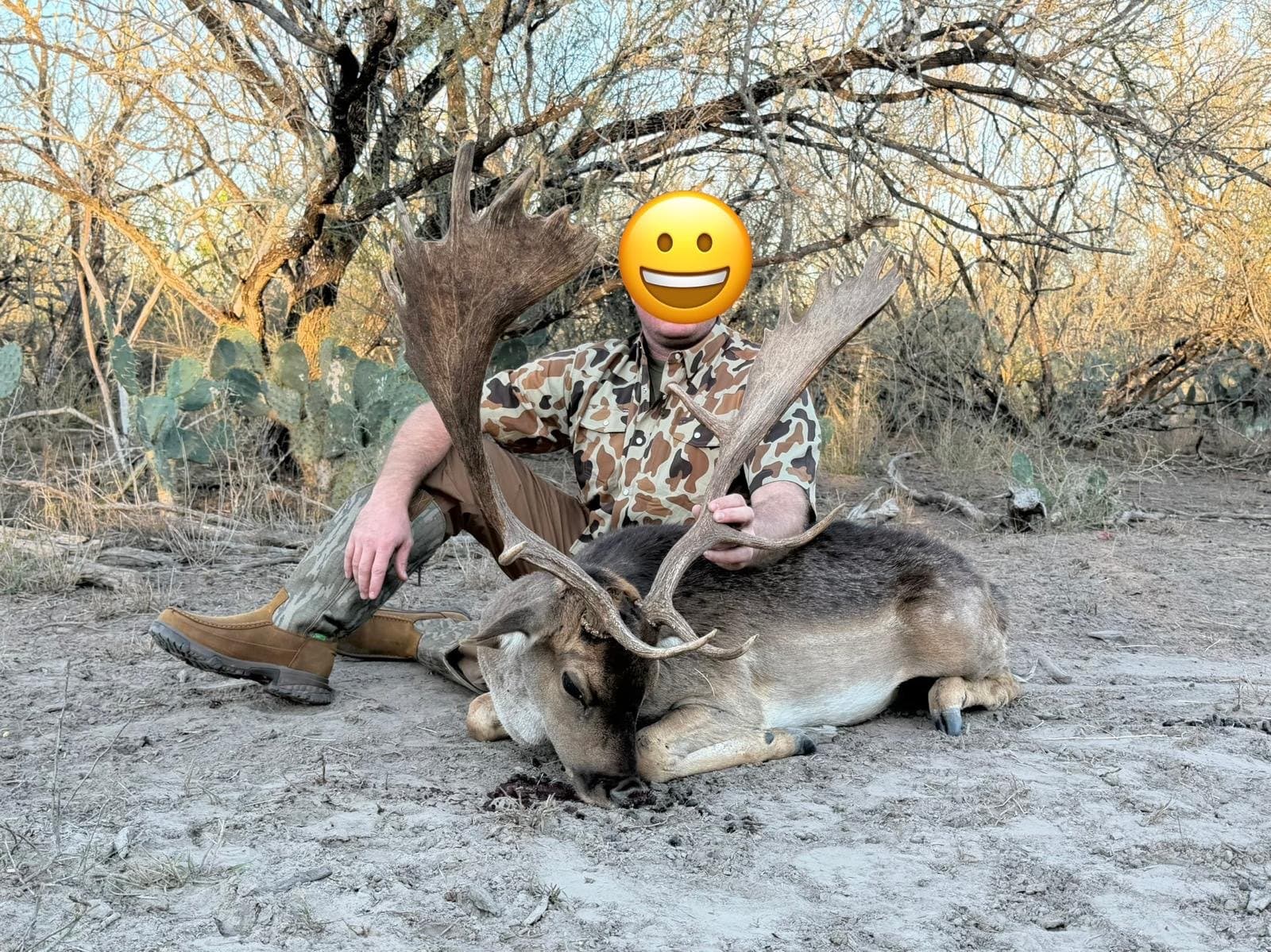 Hunter seated behind a harvested fallow buck in open brush country