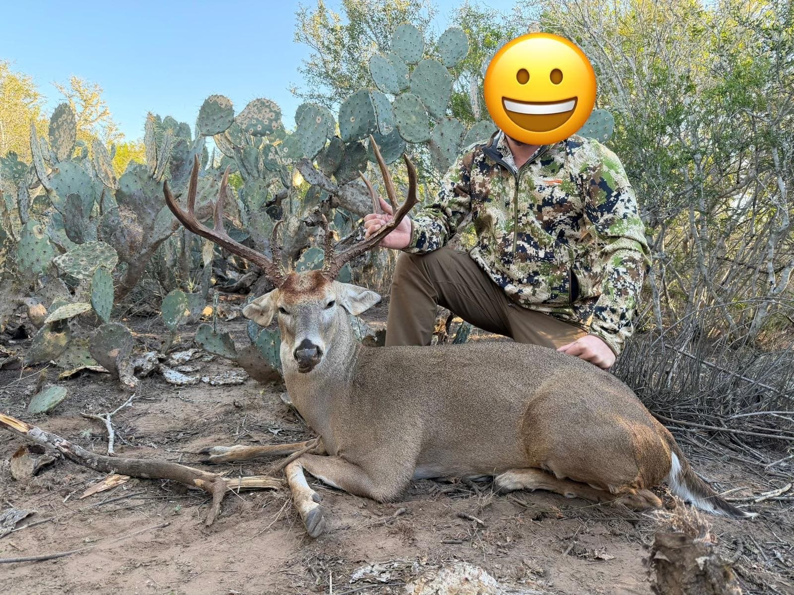 Hunter seated behind a harvested whitetail buck beside prickly pear cactus