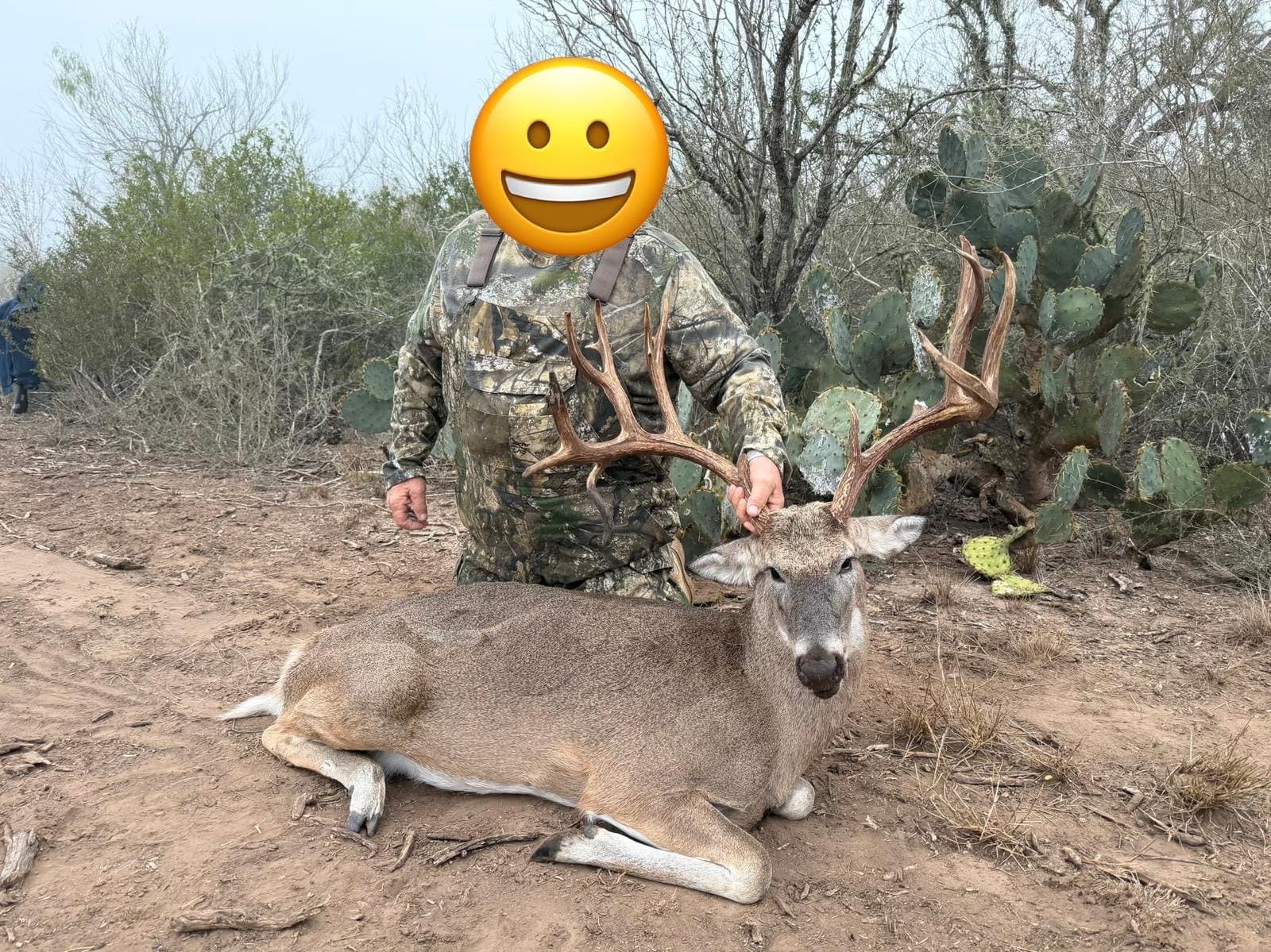 Hunter kneeling behind a harvested whitetail buck in dense brush